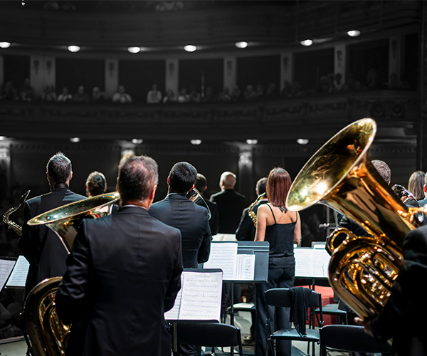 Cartel La Pamplonesa Danza